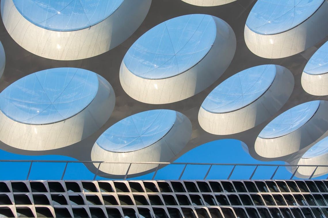 Remitly vs Wise: Fees, rates, and features compared